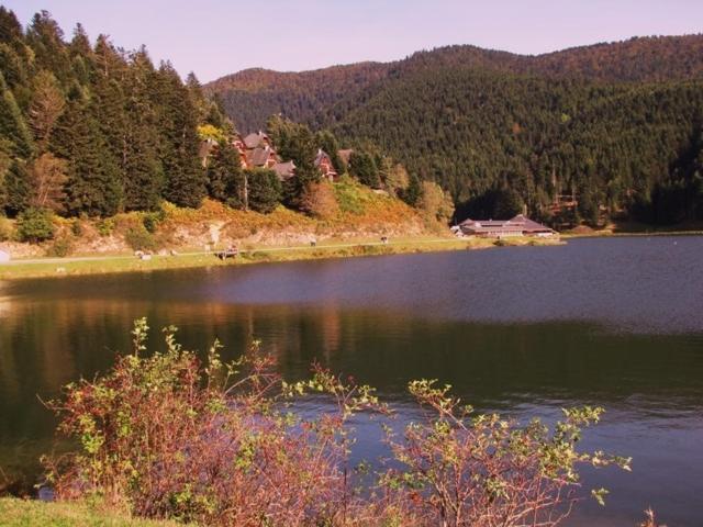 Gite Du Montagnol A Payolle Sainte Marie de Campan Bagian luar foto