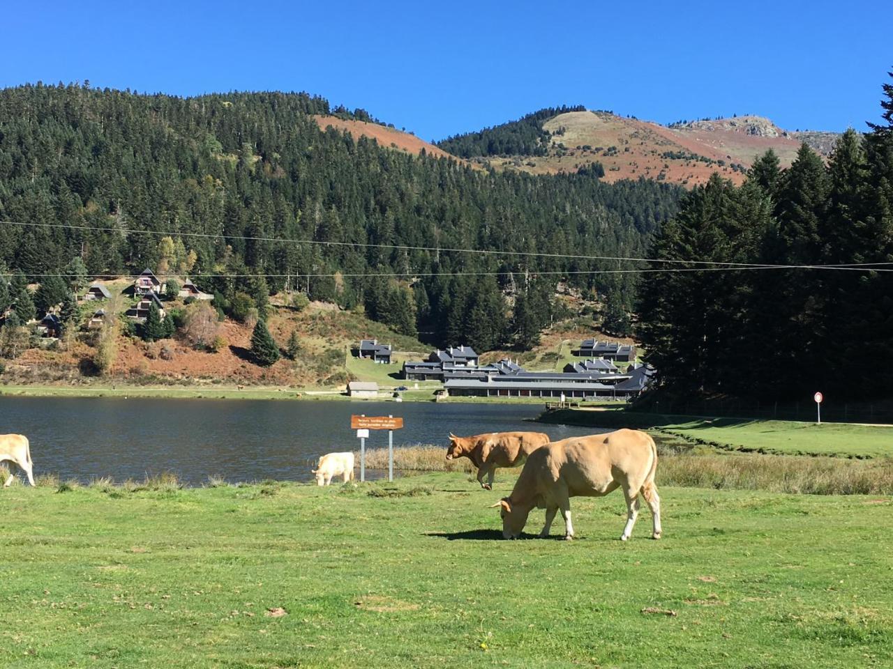 Gite Du Montagnol A Payolle Sainte Marie de Campan Bagian luar foto
